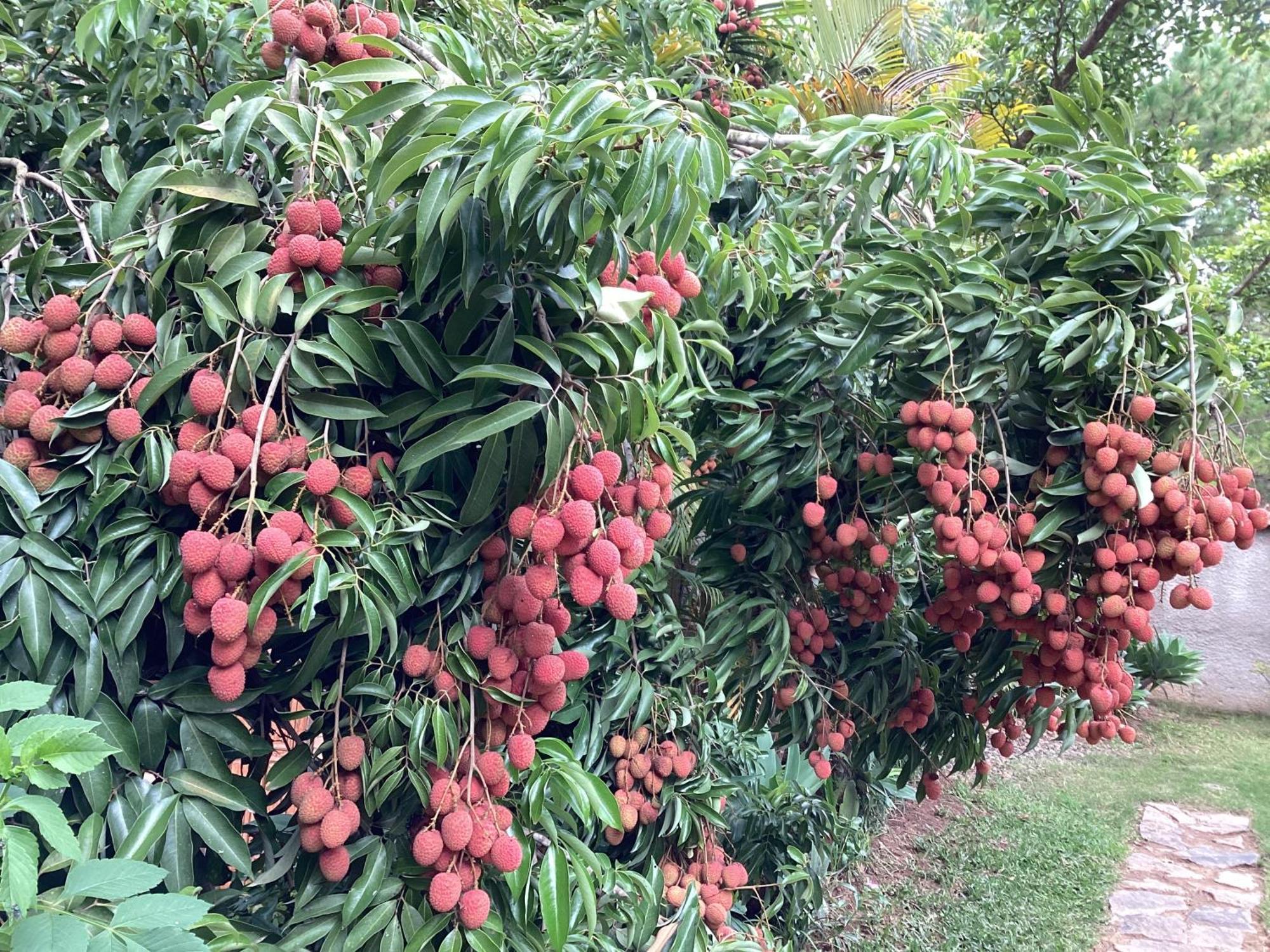 Villa Chezsoa, Antananarivo Bagian luar foto